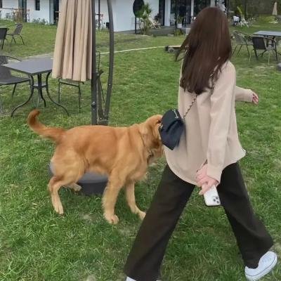 热情似火